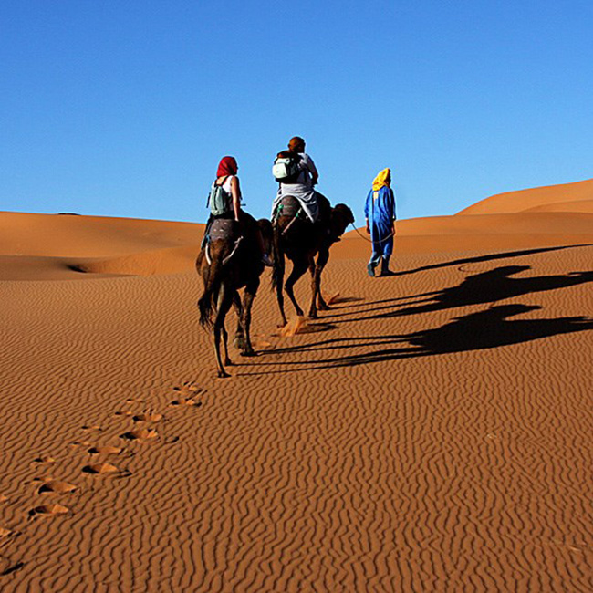 Cưỡi lạc đà ở sa mạc Sahara: Đi bộ trên sa mạc rộng lớn như một phần của một đoàn lạc đà caravan. Nghe có vẻ giống như một cuộc phiêu lưu nhàn nhã nhưng mặt trời Bắc Phi sẽ khiến bản thay đổi cảm giác một cách nhanh chóng.