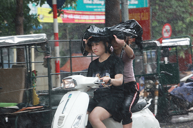 Người Hà Nội sung sướng đi dưới “mưa vàng” sau những ngày nắng cháy da - 5