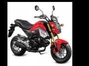 Thế giới xe - 2018 Honda MSX 125 SF &quot;sặc sỡ&quot; trong tùy chọn màu mới