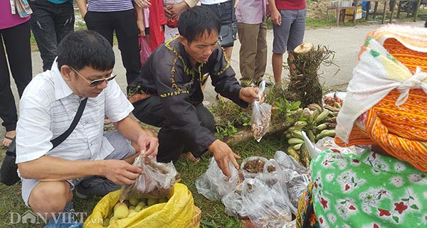 Chợ Mẫu Sơn: &#34;Phát sốt&#34; với trái rừng lạ, rùa nhốt lồng tre, rết độc - 8