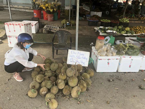 Nghe vô lý: Hạt sầu riêng giá cao hơn quả, nghi thương lái giở trò - 2