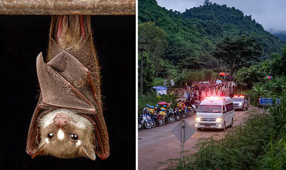 Cứu đội bóng Thái Lan: Mối đe dọa lớn đang ở ngay trong hang - 1