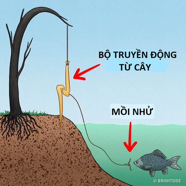 Những kỹ năng sinh tồn ai cũng phải học để có thể sống sót như đội bóng Thái Lan - 3