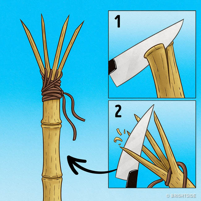 Những kỹ năng sinh tồn ai cũng phải học để có thể sống sót như đội bóng Thái Lan - 5