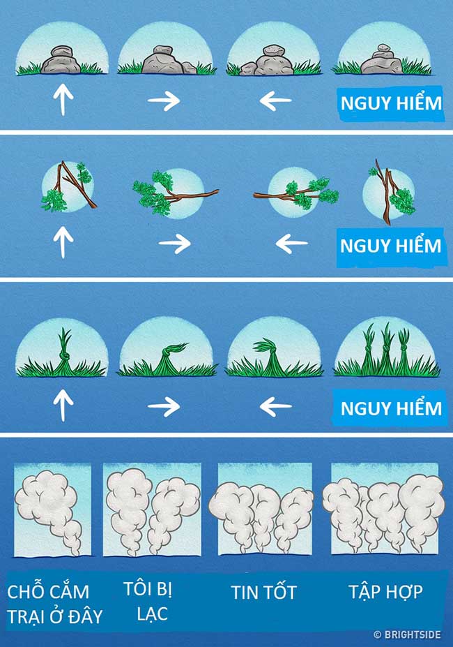 Những kỹ năng sinh tồn ai cũng phải học để có thể sống sót như đội bóng Thái Lan - 10