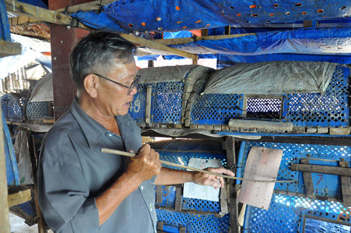 Nuôi tôm lỗ, lão nông lên sân thượng... nuôi trăn - 1