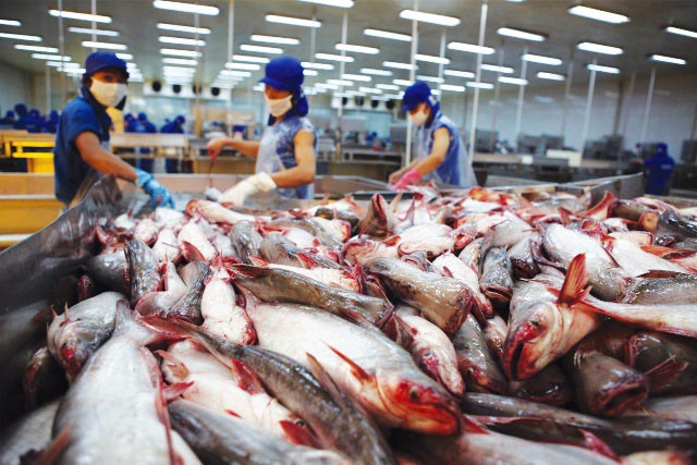 Trung Quốc giảm thuế nhập khẩu thủy sản: Vừa mừng vừa lo - 1