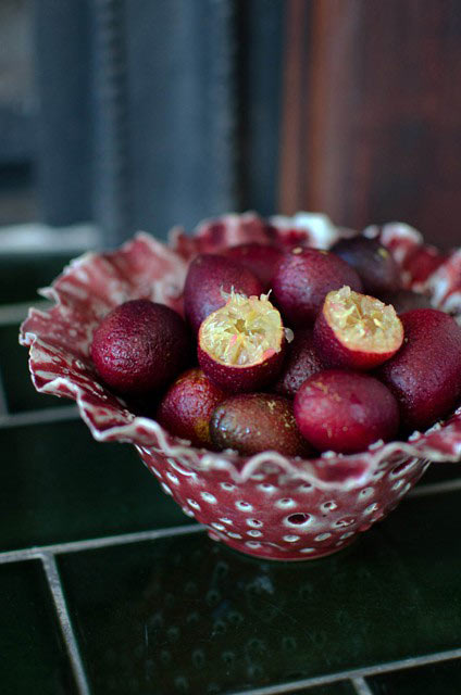 Đến cả chanh, bưởi, dưa chuột, ổi... giờ cũng có màu đỏ rực - 10