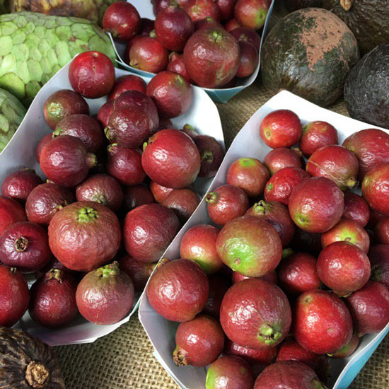 Đến cả chanh, bưởi, dưa chuột, ổi... giờ cũng có màu đỏ rực - 12