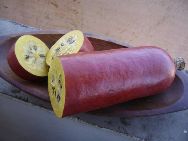 Đến cả chanh, bưởi, dưa chuột, ổi... giờ cũng có màu đỏ rực - 5