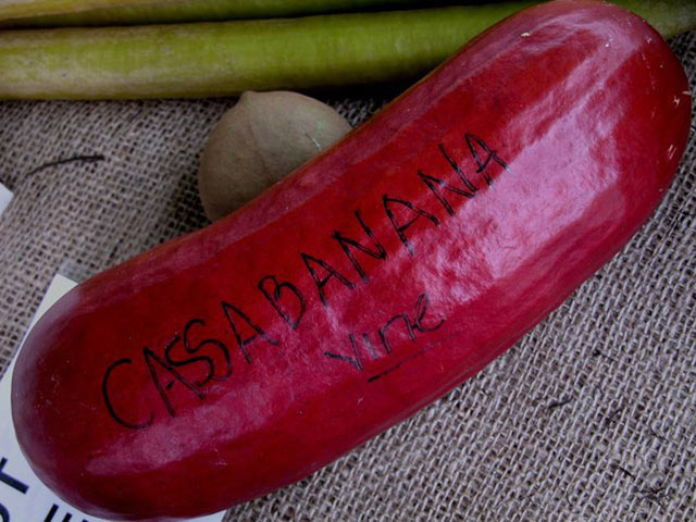 Đến cả chanh, bưởi, dưa chuột, ổi... giờ cũng có màu đỏ rực - 6