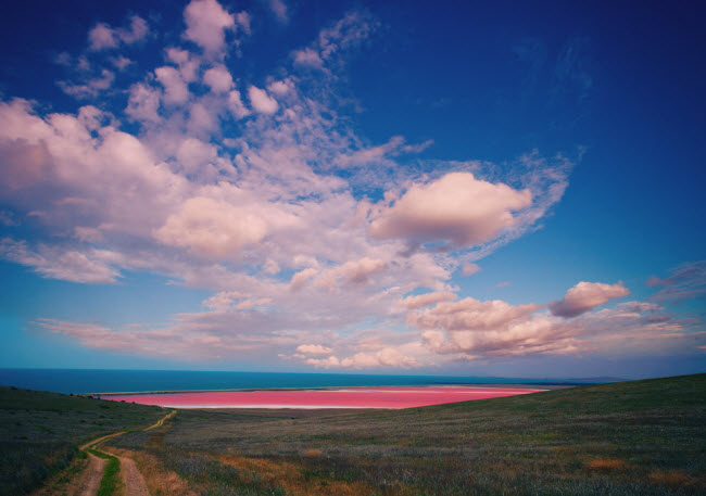 Hồ Spencer, Australia: Hồ nước màu hồng ở Australia trông dường như không tự nhiên, nhưng màu sắc độc đáo của nó thực chất là từ một hóa chất tên carotene được sinh ra bởi tảo trong hồ.
