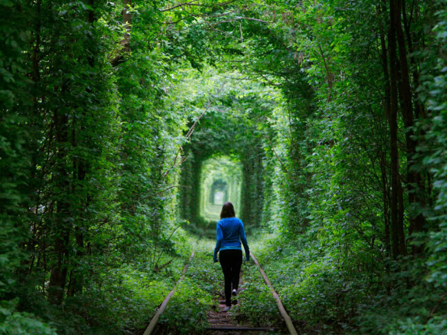 Đường hầm tình yêu, Ukraine: Nằm ở ngoại ô thành phố Klevan, đường hầm tình yêu là một kỳ quan xanh dài khoảng 3km dọc đường ray tàu hỏa tư nhân.