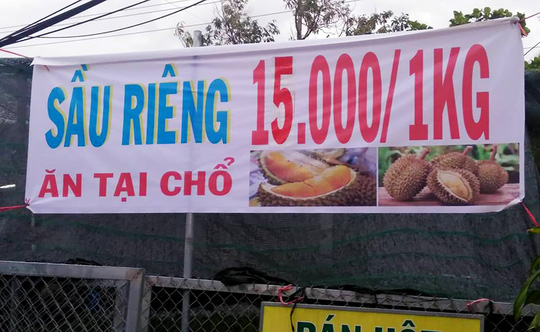 Thực hư về “sầu riêng ăn trả hạt&#34; giá 15.000 đồng/kg - 1