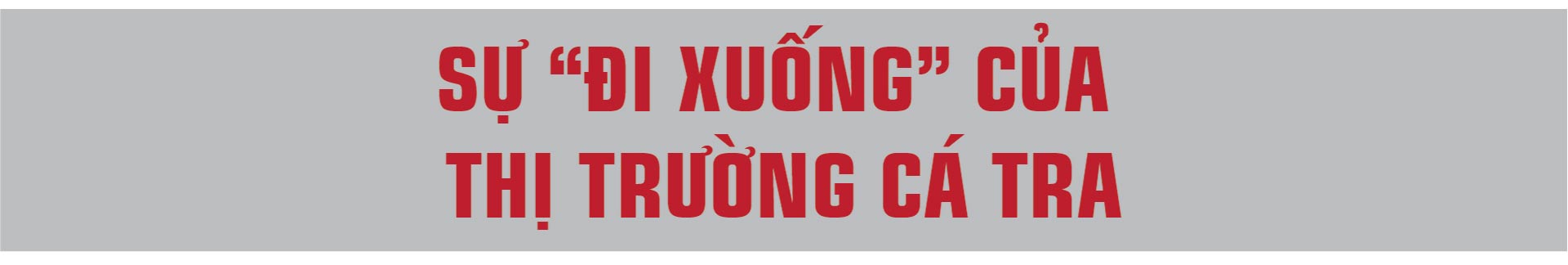 “Vua cá tra” Dương Ngọc Minh: Từ lợi nhuận trăm tỷ đến nợ nần nghìn tỷ - 7