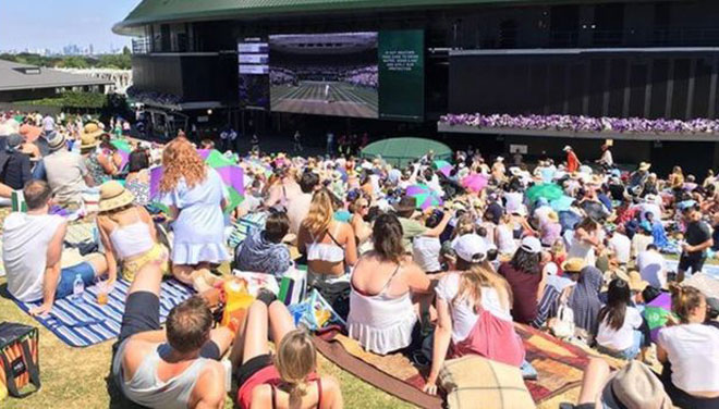 Djokovic số &#34;hẩm hiu&#34;: Lần 4 vô địch Wimbledon bị World Cup làm lu mờ - 3