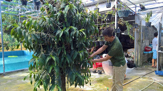 Bén duyên với lan rừng, trai xứ Mường mỗi năm kiếm hàng trăm triệu - 2