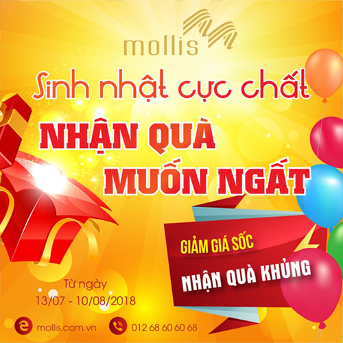 Mollis rộn ràng ưu đãi mừng sinh nhật - 1