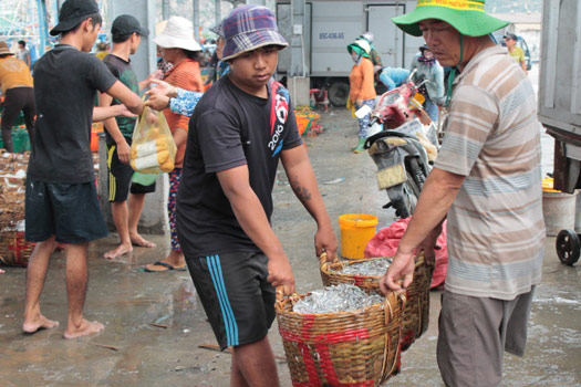 Ngư dân Ninh Thuận &#34;hốt&#34; cả chục triệu sau một đêm nhờ cá Nam muộn - 5