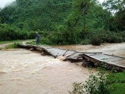 Tin tức trong ngày - Sau bão Sơn Tinh, 35 người vào rừng hái măng bị mất liên lạc