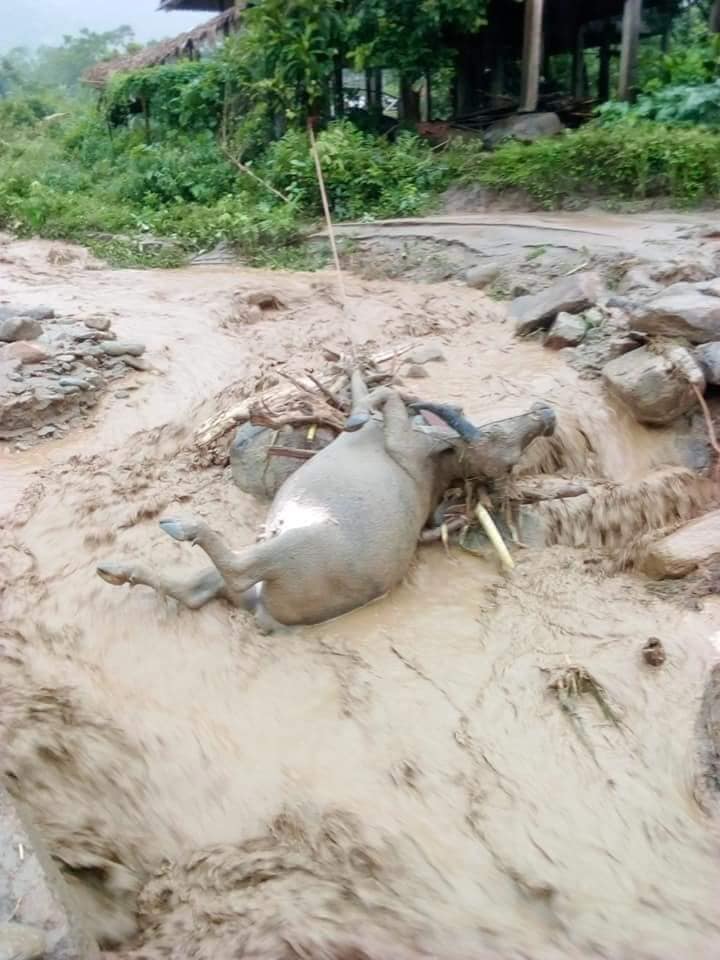 Hình ảnh lũ dữ về dồn dập, tang thương bao trùm khắp Yên Bái - 7