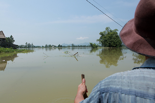 Hà Nội: Nước ngập ngấp nghé mái nhà, người dân sống cùng gà lợn - 1