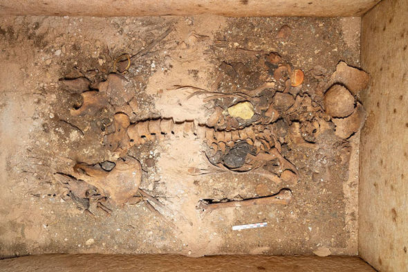 Bí ẩn lăng mộ 2.000 năm chứa đầy trang sức vàng ở Hy Lạp - 1