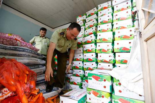 Tịch thu gần 4 tấn cà rốt Trung Quốc nhập lậu - 1