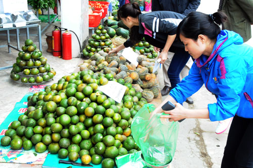 Mập mờ rau quả Trung Quốc nhập tiểu ngạch, đánh giá... bằng mắt? - 1