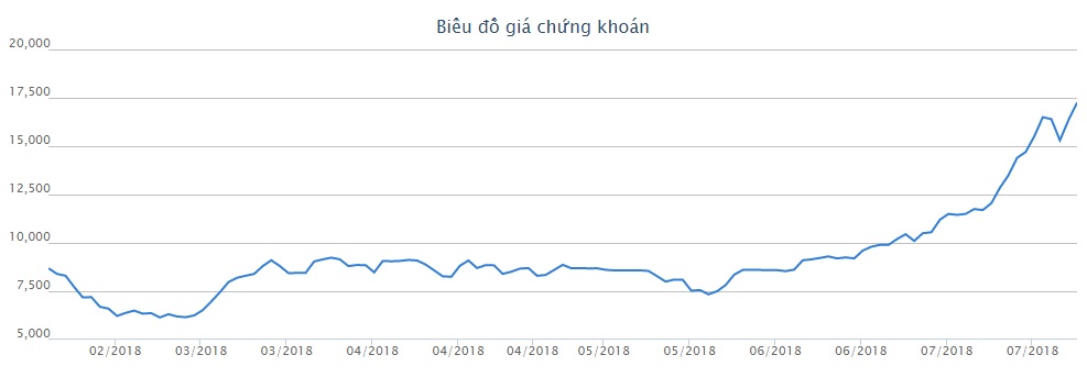 Thu về 450 tỷ từ bán ớt, bầu Đức vẫn lỗ ròng 11 tỷ đồng - 4