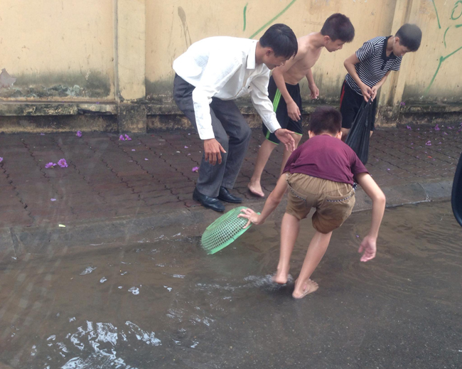 Đánh cá ngay trên đường nhựa.