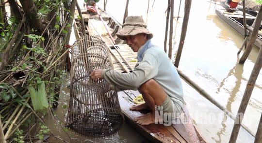 Thức từ 2 giờ sáng đi “săn” sản vật mùa nước nổi - 11