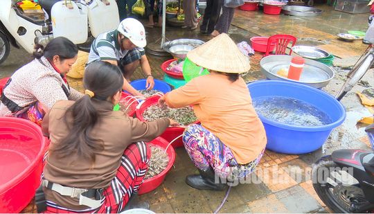 Thức từ 2 giờ sáng đi “săn” sản vật mùa nước nổi - 2