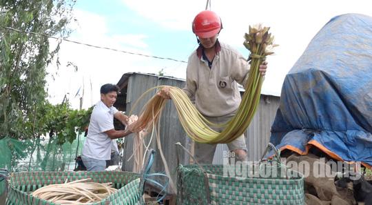 Thức từ 2 giờ sáng đi “săn” sản vật mùa nước nổi - 9