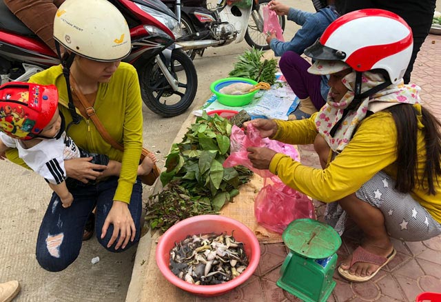 Đặc sản ếch núi &#34;ngàn năm tráng kiện&#34;, có tiền cũng không dễ mua - 7