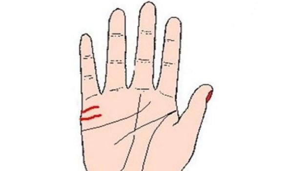Lòng bàn tay xuất hiện 3 dấu hiệu này, hôn nhân đến muộn nhưng lâu bền - 1