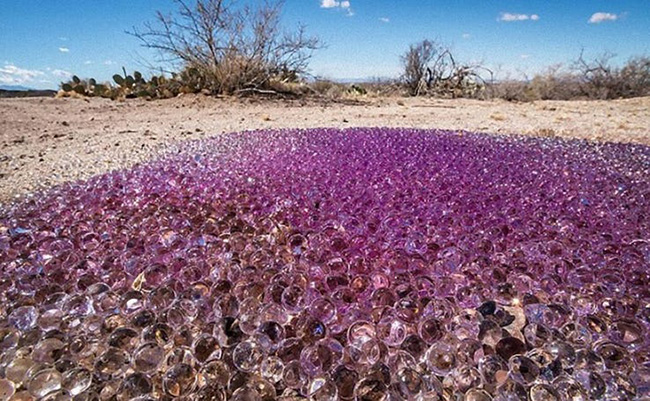 Vào năm 2013, một cặp vợ chồng đang đi dạo và chụp ảnh ở sa mạc Arizona về phía đông nam của Tucson đã phát hiện ra hàng ngàn quả cầu mờ đục và màu tím huyền bí lấp lánh dưới ánh mặt trời.