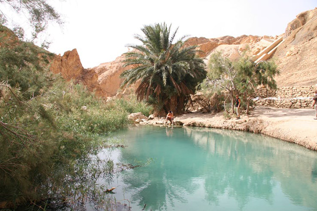 Trong năm 2014, khoảng 25 km từ Gafsa ở Tunisia, một hồ nước trải rộng khoảng 2,6 mẫu Anh, dường như xuất hiện đột ngột từ hư không. Đó không phải là ảo ảnh mà là một hồ nước sâu 18 mét được phát hiện bởi một Shepard địa phương.