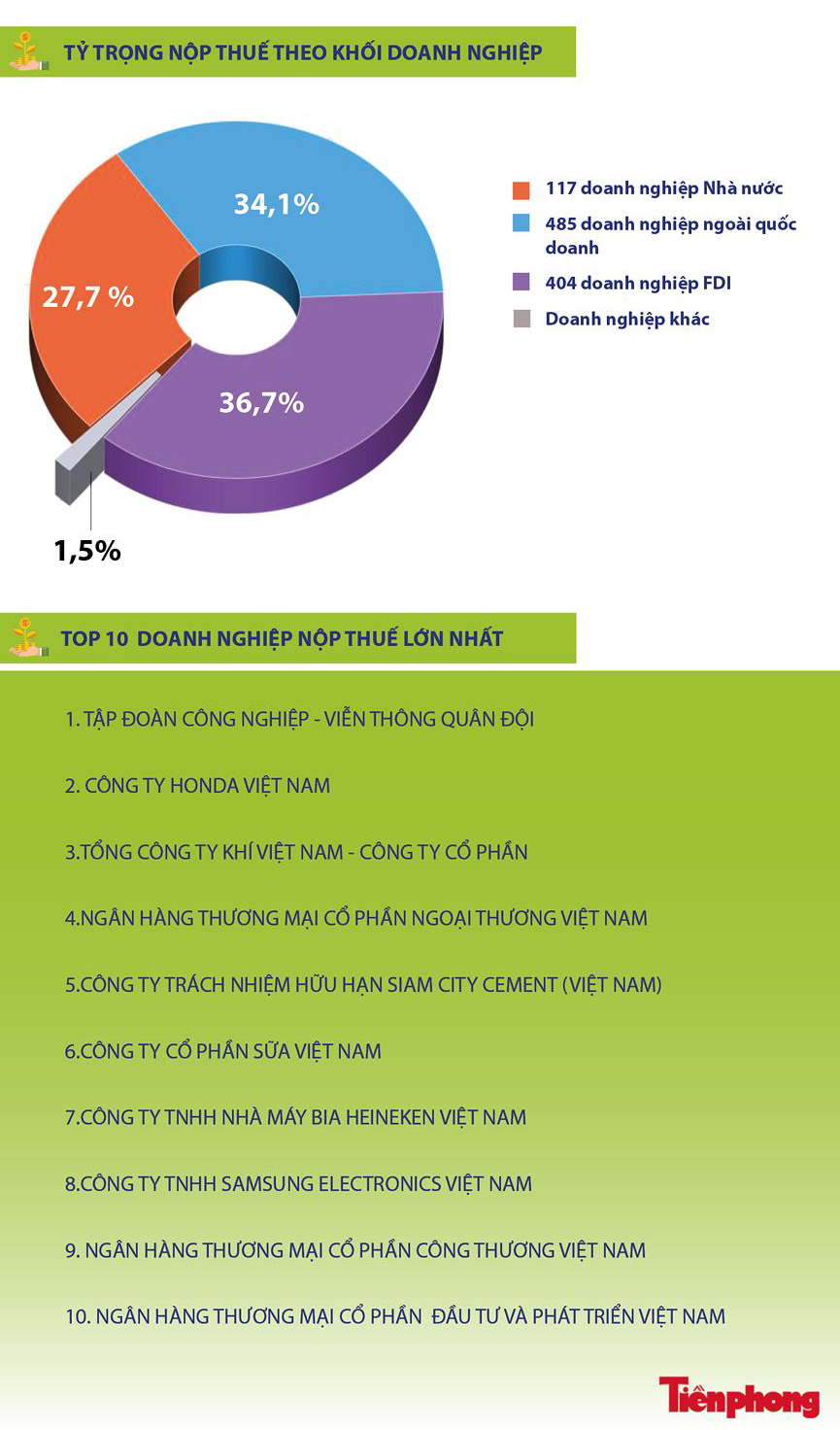 Điều ít biết về Top doanh nghiệp nộp thuế nhiều nhất - 3