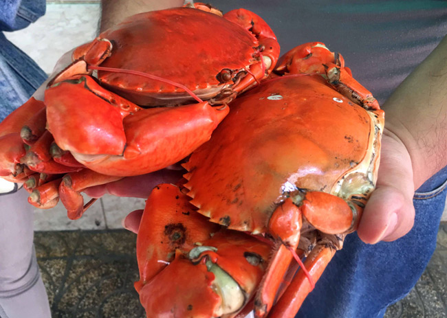 Người dân chen chúc mua cua hấp ở Sài Gòn chỉ bán trong thời gian “chớp mắt” - 10