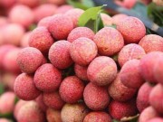 Thị trường - Tiêu dùng - 91% vải Việt Nam bán cho Trung Quốc, giá hơn 9.000 đồng/kg