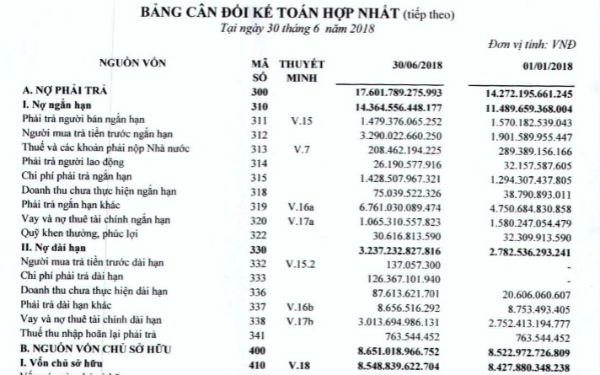 Tập đoàn FLC của đại gia Trịnh Văn Quyết đang nợ nần ra sao? - 2