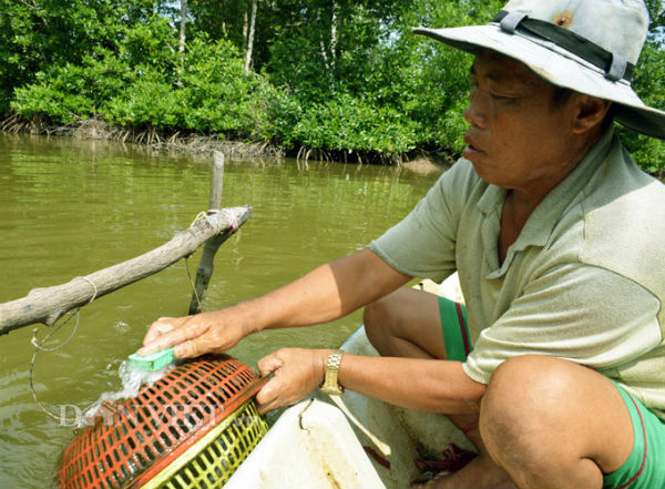 Khám phá ao nuôi đặc sản tôm tích đắt nhất quả đất: 1 triệu đồng/kg - 6