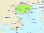 Tin tức trong ngày - Áp thấp nhiệt đới bất ngờ “bẻ lái”, đường đi hết sức khó lường