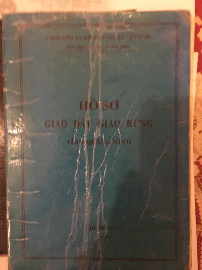 Đất đảo Vân Đồn rao bán tràn lan - 3