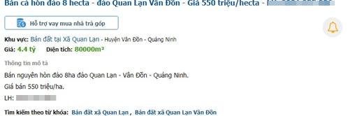 Đất đảo Vân Đồn rao bán tràn lan - 5