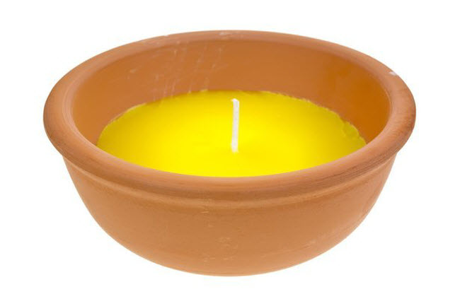 15 cách diệt côn trùng tự nhiên vừa rẻ vừa hiệu quả - 3