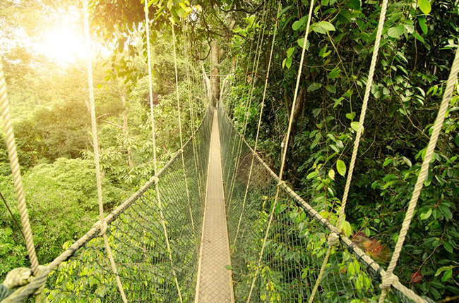 Taman Negara, Malaysia: Một trong những khu rừng nhiệt đới lâu đời nhất thế giới - ước tính có hơn 130 triệu năm tuổi. Du khách cũng có thể đi bè qua các ghềnh, khám phá hệ thống hang động và có cơ hội nhìn thấy động vật có vú quý hiếm như hổ Malay và voi châu Á.