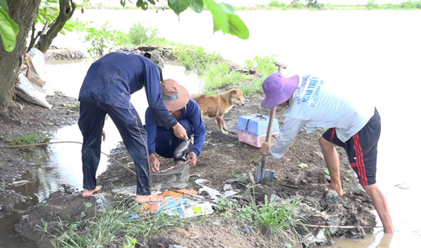 Về miền Tây mùa lũ, xem &#34;thợ săn&#34; chuột đồng “hốt bạc” - 4