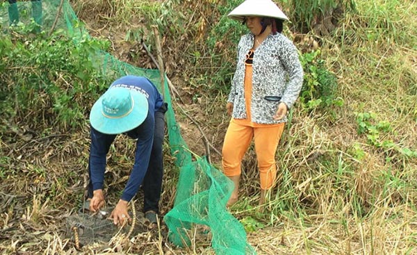 Về miền Tây mùa lũ, xem &#34;thợ săn&#34; chuột đồng “hốt bạc” - 6